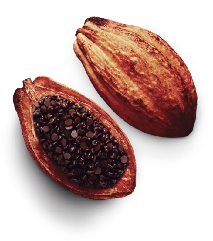 IXCACAU PEPITA 7500 CHOC. PURO 46% CACAU 20KG