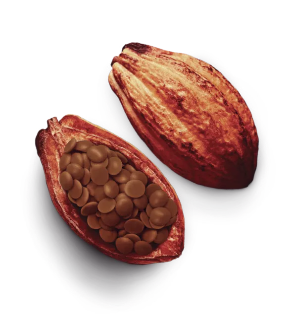 IXCACAU CARAMELO SALGADO (4X3) 12KG