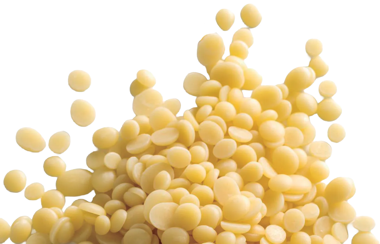 LEOPASTRY MANTEIGA DE CACAU GOTA 2KG