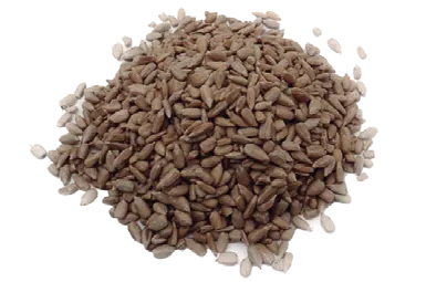 LEOBAKERY SEMENTES DE GIRASSOL 5KG