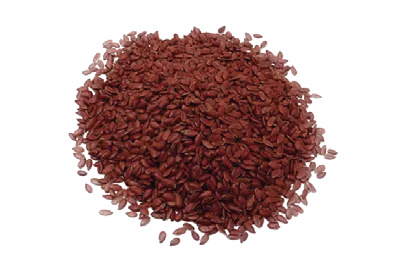 LEOBAKERY SEMENTES DE LINHAÇA 5KG