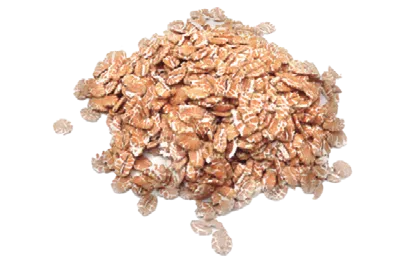 LEOBAKERY FLOCOS DE TRIGO 5KG