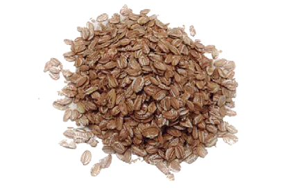 LEOBAKERY FLOCOS DE CENTEIO 5KG