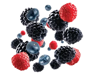 PASTYAROMA FRUTTI DI BOSCO 900G