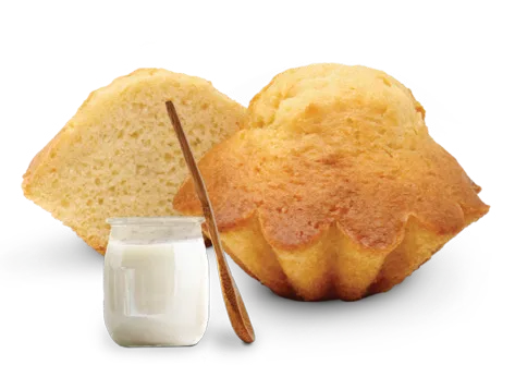 LEOPASTRY CAKE DE IOGURTE 5KG