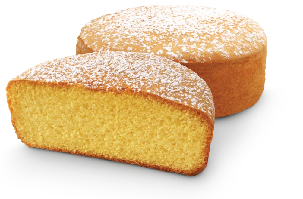 LEOPASTRY BISCUIT 15KG