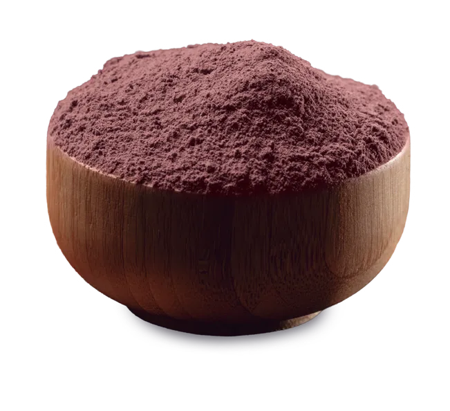 LEOPASTRY CHOCOLATE EM PÓ 5KG