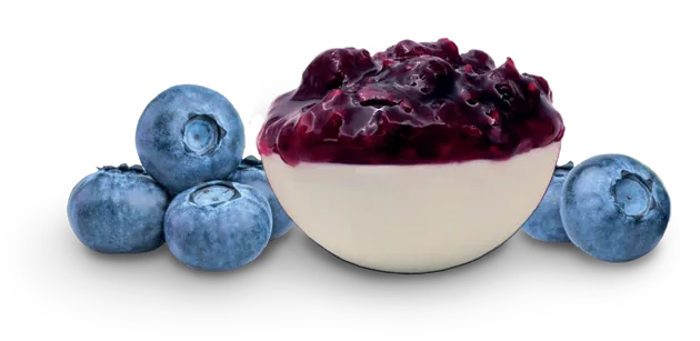 VITAFRUIT MIRTILO 50% 6KG