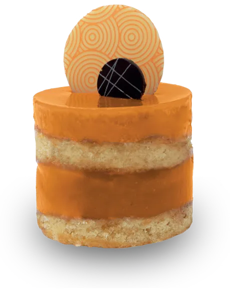 DOLCE D´OR SOFT MARACUJA 6KG