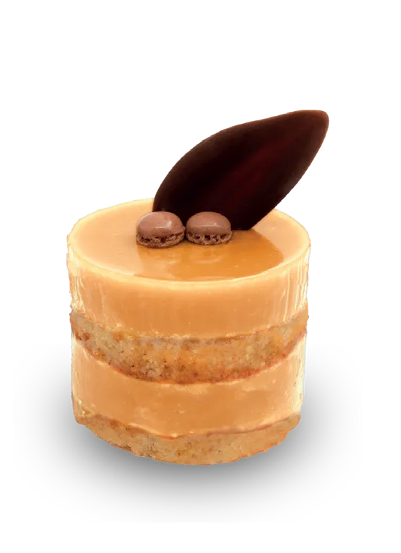 DOLCE D´OR SOFT BAUNILHA 6KG
